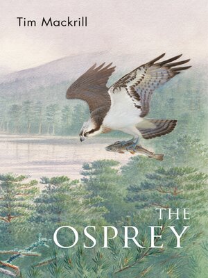cover image of The Osprey
